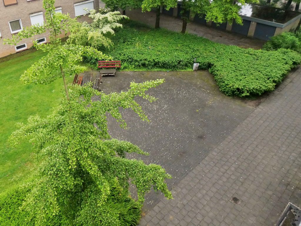 P1000516